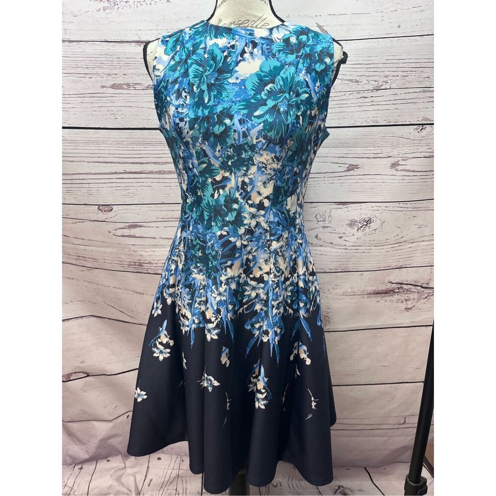 Danny and Nicole Womens Dress Size 6 Floral Blue Sleeveless Fit Flare Zipper